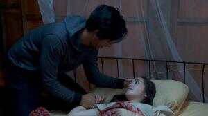 Nonton Streaming 7 Manusia Harimau New Generation Ep. 1 Online Download Full Episode Sub Indo - RCTI+ Dev